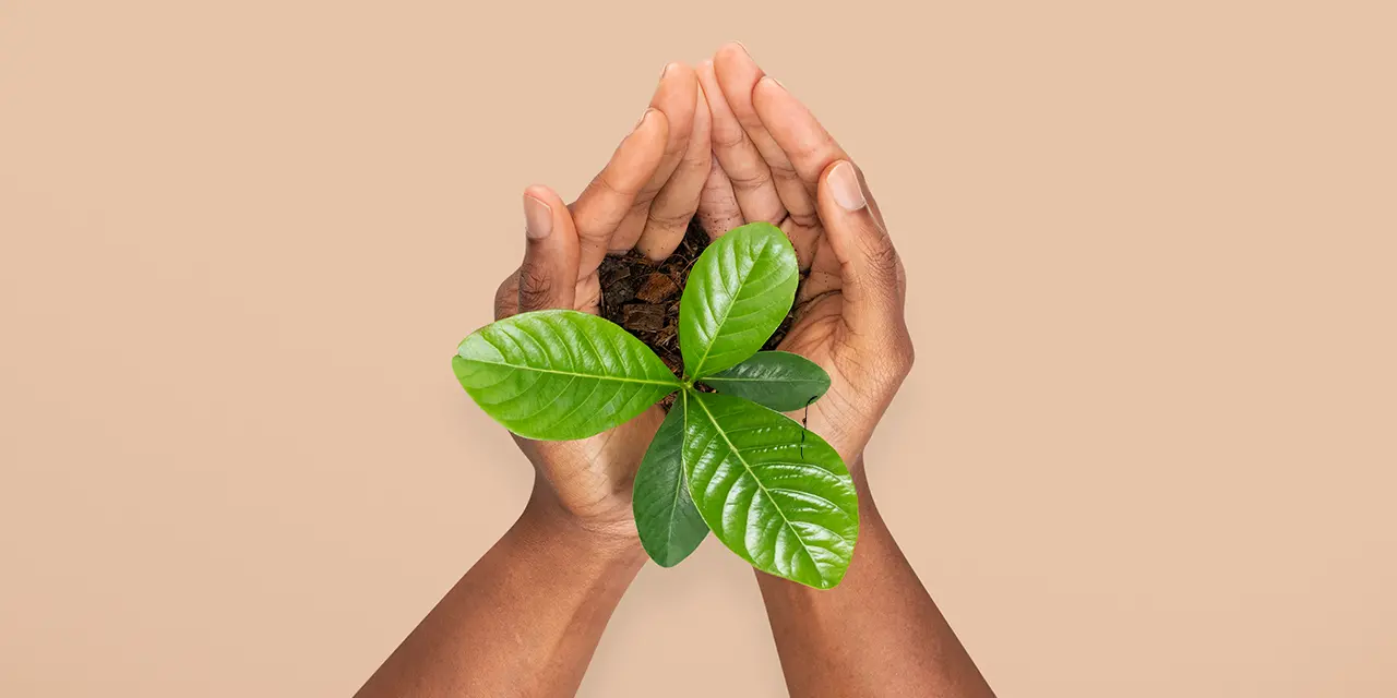 Sustainable habits for personal and professional life