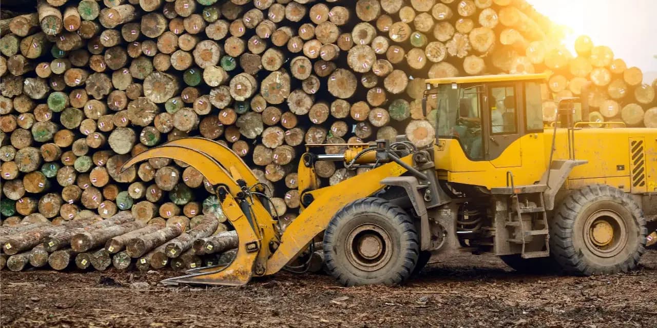 Discover the real impact of paper production on the environment.