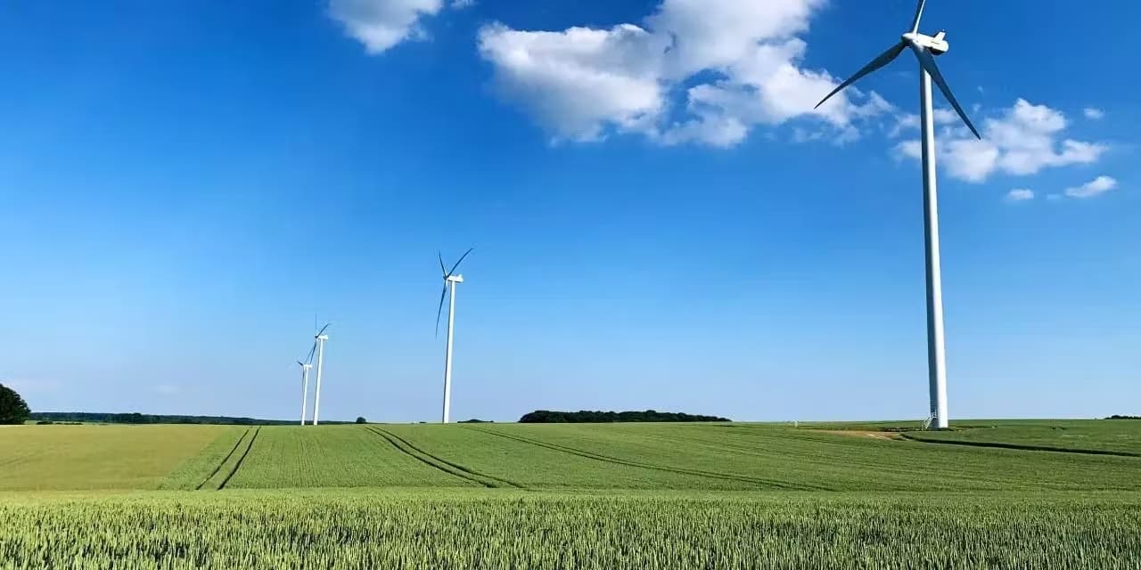 ESG values can be applied in small and large company actions.