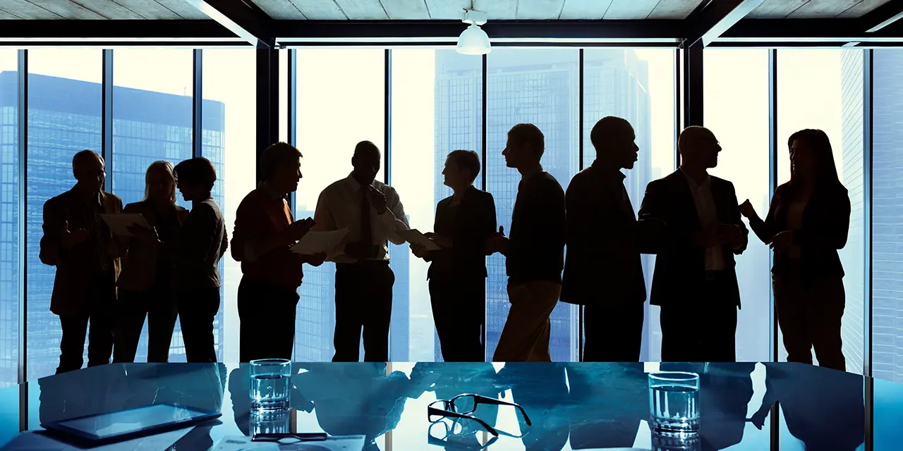 Group of professionals networking